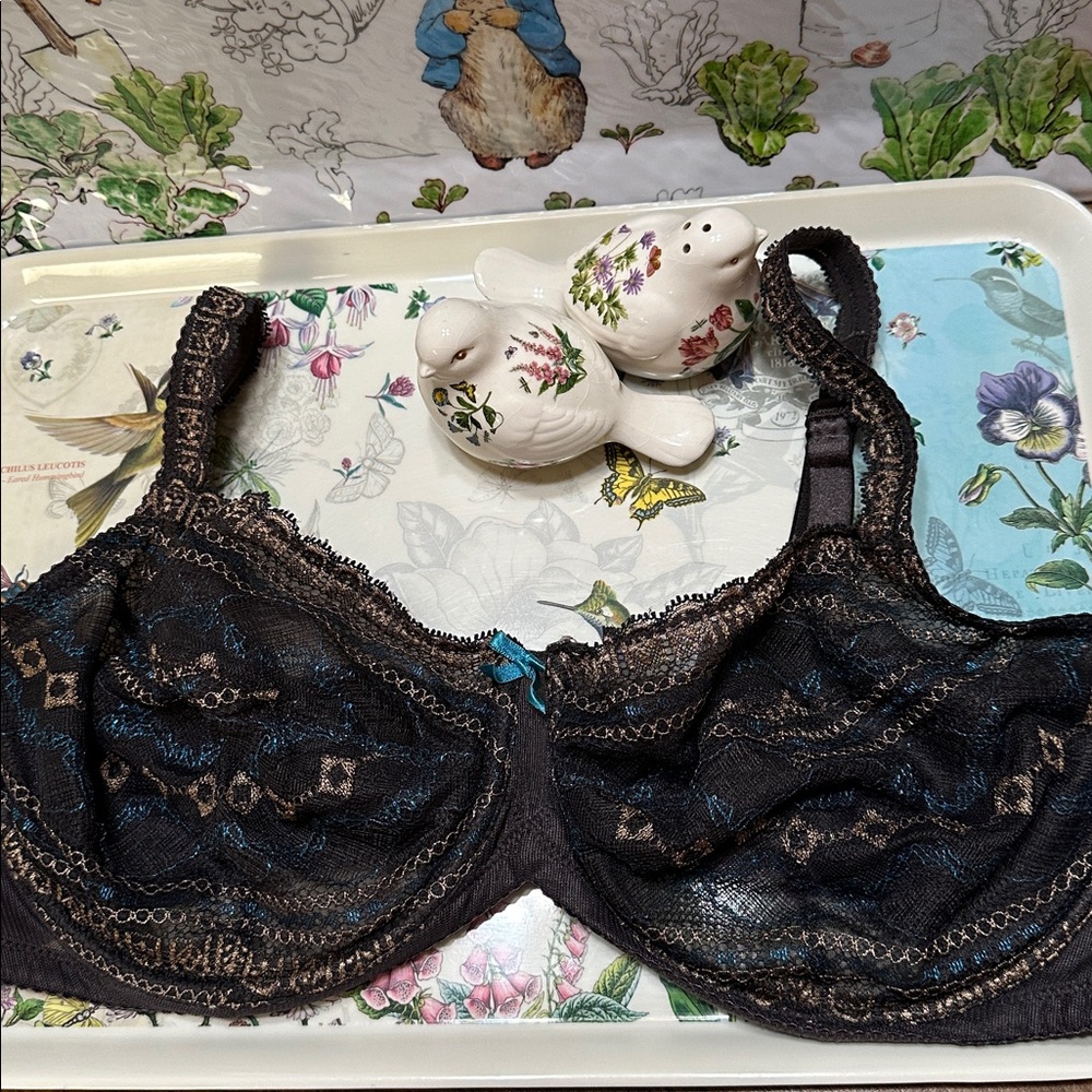 Fayreform Lace Women's underwire Bra in brown  & Blue - 38F